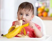 Bebê Comendo Banana Nanica 2