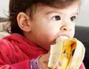Bebê Comendo Banana Nanica 5