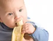 Bebê Comendo Banana Nanica 6