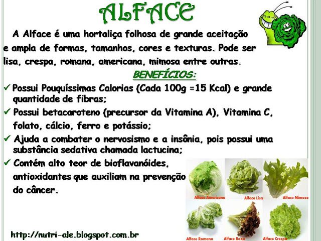 Ciclo Vegetativo do Alface – Mundo Ecologia