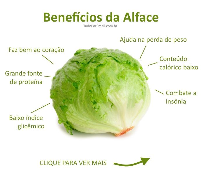 Ciclo Vegetativo do Alface – Mundo Ecologia