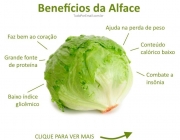 Benefícios da Alface 2