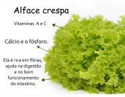 Benefícios da Alface Crespa 5