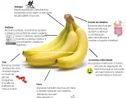 Benefícios da Banana 3