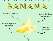 Benefícios da Banana Caturra 2