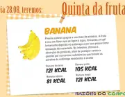 Benefícios da Banana Caturra 6