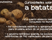 Benefícios da Batata Para a Saúde 1