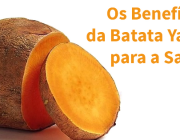 Benefícios da Batata Para a Saúde 2