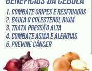 Benefícios da Cebola 5