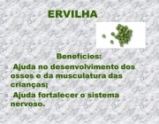 ERVILHABenefícios: Ajuda no desenvolvimento dos ossos e da musculatura das crianças; Ajuda fortalecer o sistema nervoso.