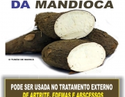Beneficios da Mandioca 5