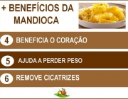 Benefícios da Mandioca 4