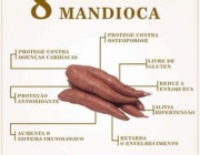 Benefícios da Mandioca 5