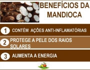 Benefícios da Mandioca 6