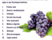 Benefícios das Uvas 1