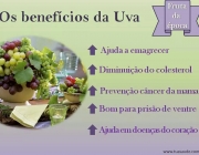 Benefícios das Uvas 6