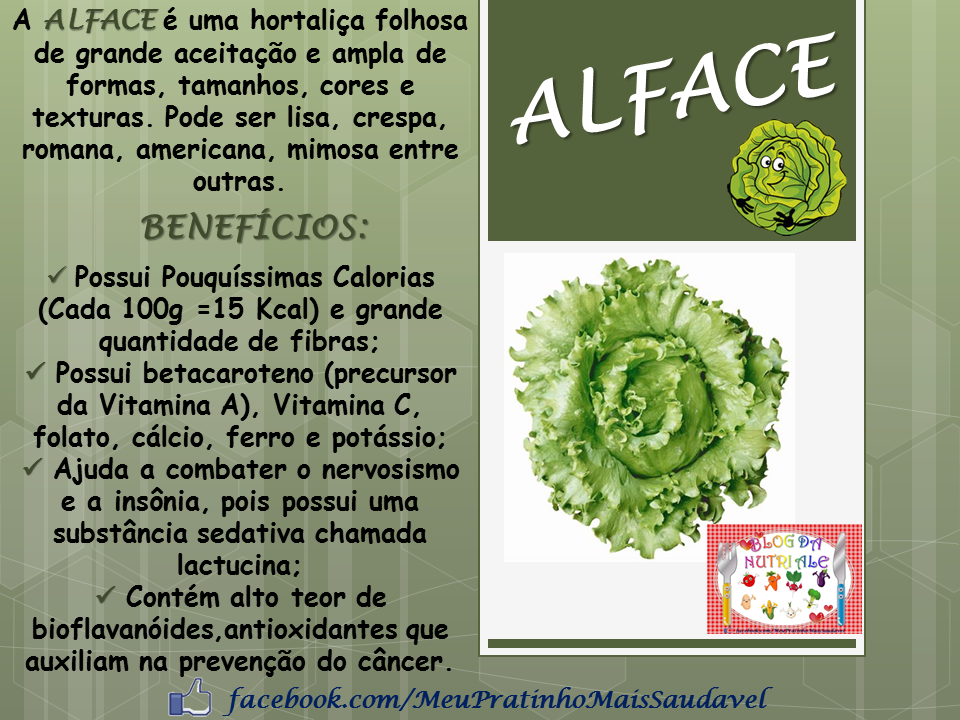 Tudo Sobre Alface | Mundo Ecologia