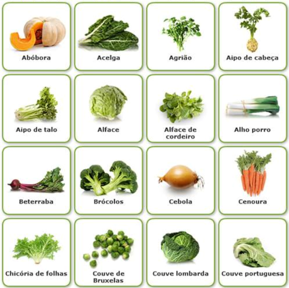 Quais são os Alimentos Vegetais? | Mundo Ecologia
