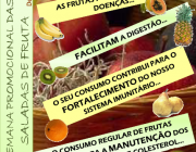 Benefícios dos Vegetais 4