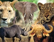 Big Five