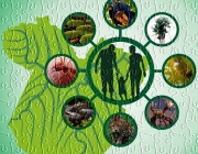 Biodiversidade Ecológica do Brasil 6