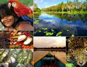 Biodiversidade na Amazônia 3