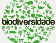 Biodiversidade 4