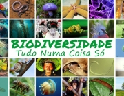 Biodiversidade 5