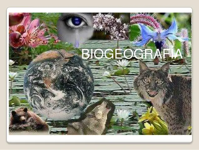 Biogeografia 1