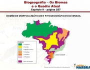 e o Quadro Atual. Capítulo 9 – página 257. DOMÍNIOS MORFOCLIMÁTICOS E FITOGEOGRÁFICOS DO BRASIL.