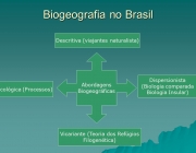 Descritiva (viajantes naturalista) Abordagens. Biogeográficas. Dispersionista. (Biologia comparada. Biologia Insular) Ecológica (Processos) Vicariante (Teoria dos Refúgios. Filogenética)