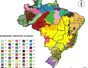 Biogeografia do Brasil 4