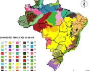 Biogeografia do Brasil 4