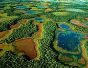 Bioma do Pantanal 2
