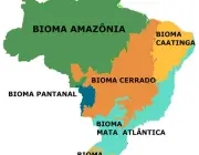 Biomas do Brasil 1