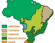 Biomas do Brasil 2
