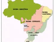 Biomas do Brasil 3