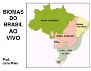 Biomas do Brasil 6