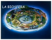 Biosfera 2