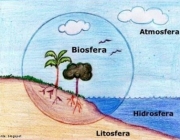 Biosfera 4