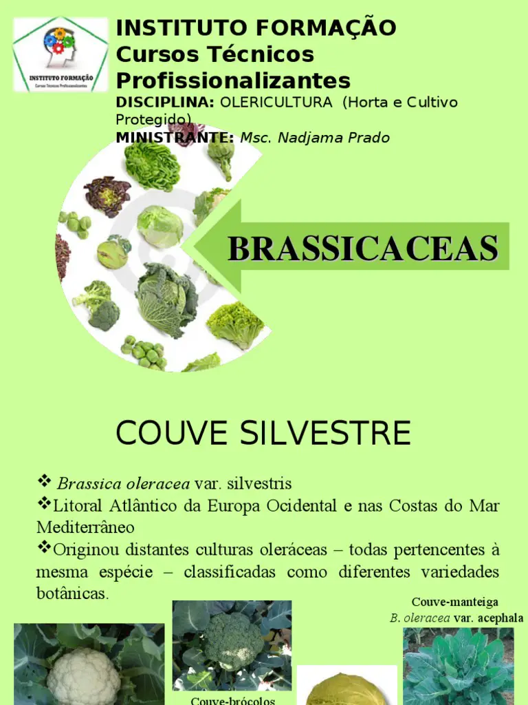 Brassicaceae Hortaliças 1