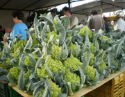 Brócolis Romanesco 1