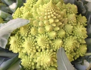 Brócolis Romanesco 4