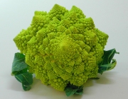 Brocolis Romanescu 2