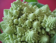 Brocolis Romanescu 3