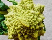 Brocolis Romanescu 5