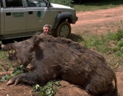 Caçadores de Javalis Gigante 3