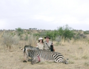 Caçadores de Zebras-de-Grant 2