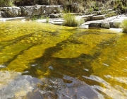 Cachoeira Dicadinha 5