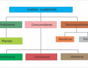 Cadeia Alimentar 3